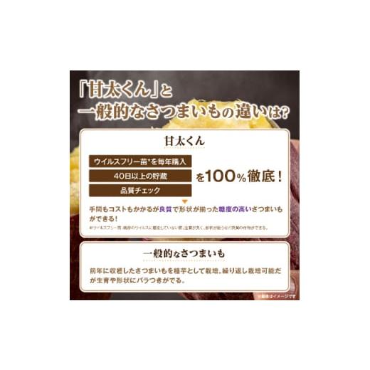 ふるさと納税 福岡県 大野城市 冷凍焼き芋「甘太くん」5本　1.75kg