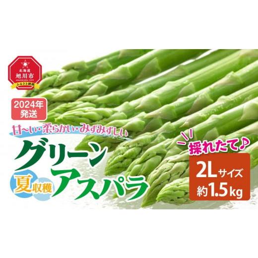 ふるさと納税 北海道 旭川市 夏収穫グリーンアスパラ 2Lサイズ 1.5kg (2024年7月下旬〜発送開始予定）