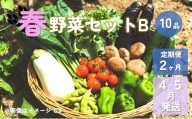 春野菜セットB 10品 以上 季節 旬 春 野菜 葉物 果菜 根菜 冷蔵 野菜室 ダイエット 食 栄養食 加工品 岩手県産 北上産 季節限定 稀少 数量限定 タラの芽 うど こごみ うるい アスパラガス カラー 人参 菜花 ほうれん草 小松菜 チンゲン菜 長ねぎ レタス リーフレタス 水菜 ブロッコリー きゅうり ベビーリーフ