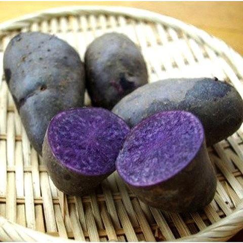 シャドークイーン 北海道 ２ｋg SＭ〜Ｌ サイス ジャガイモ 野菜 人気 芋 北海道産 じゃがいも おすすめ ギフト