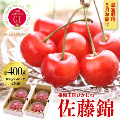 ふるさと納税 東根市 2024年産GI「東根さくらんぼ」佐藤錦100g×4パック入り