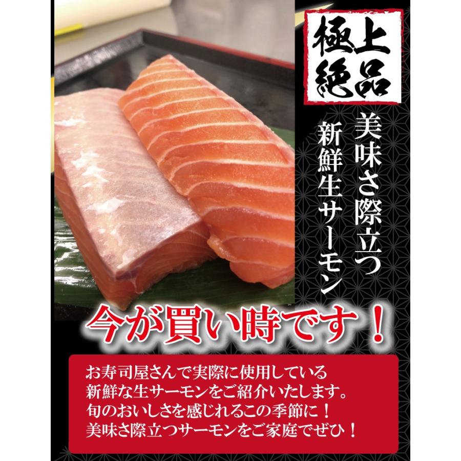 サーモン ハラス 鮭 サーモンハラス お刺身用 約200g お刺身 寿司 海鮮丼 寿司パーティ 手巻き寿司 鮭 おつまみ サーモン丼 ちらし寿司