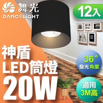 【舞光】20W 神盾筒燈 光束角36度 壓鑄鋁散熱快 全電壓 一體成形-12入(時尚白/貴族黑)