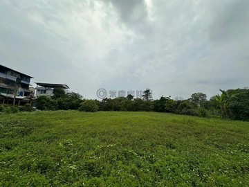 高樹鄉～泰山方正美農地～有水有電｜屏東縣高樹鄉泰山段