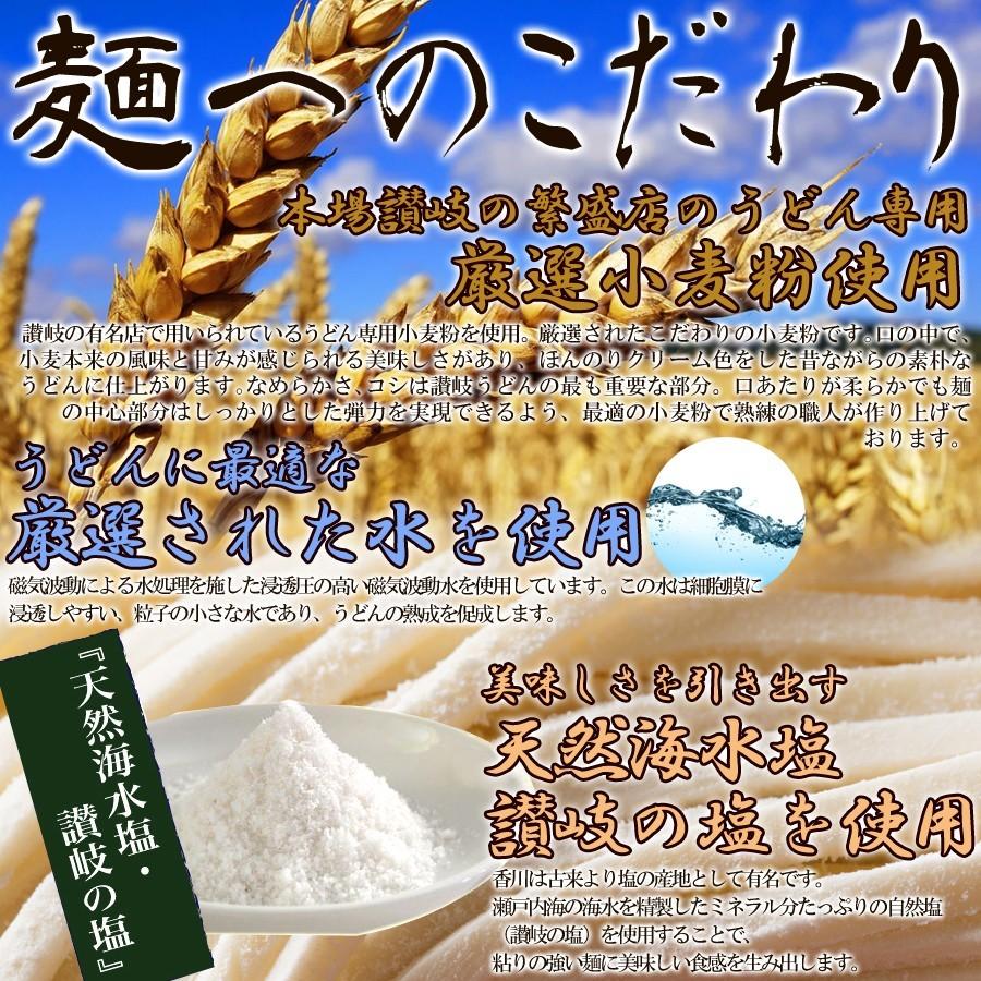 鎌田醤油特製ダシ醤油6袋付き!!讃岐うどん6食分600g（300g×2袋）　直送