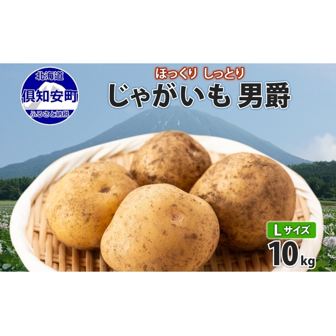 北海道産 じゃがいも 男爵 Lサイズ 10kg 馬鈴薯 男爵いも 男爵イモ だんしゃく ジャガイモ ポテト 芋 いも 旬 イモ 野菜 農作物 産地直送 産直 常温 北海道 お取り寄せ 送料無料 倶知安