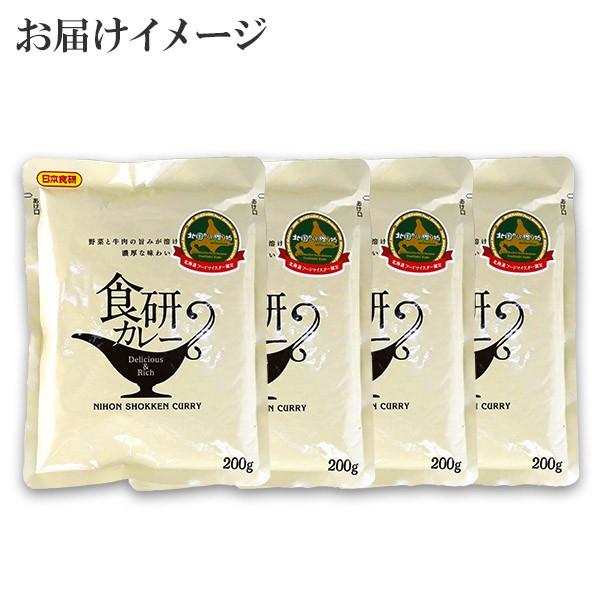 カレー レトルト 食研カレー セット 4食 お取り寄せ メール便 セール ポイント消化 送料無料 食品