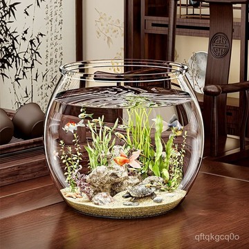 🐰東方臻選🐰圓形塑料魚缸家用客廳一體成型仿玻璃防摔耐摔小型桌麵造景生態缸 CAGR