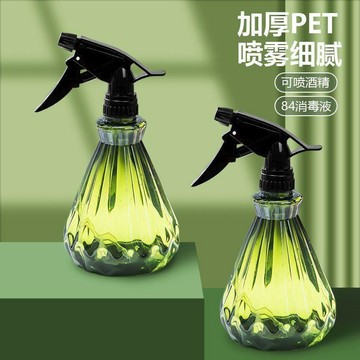 氣壓式小型噴水壺 家用澆花養花噴壺 小號壓力清潔專用噴水神器 ins 高顏值小紅書同款