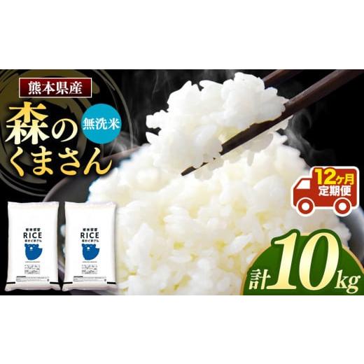 ふるさと納税 熊本県 玉名市 森のくまさん 無洗米 10kg （5kg×2袋）×12回