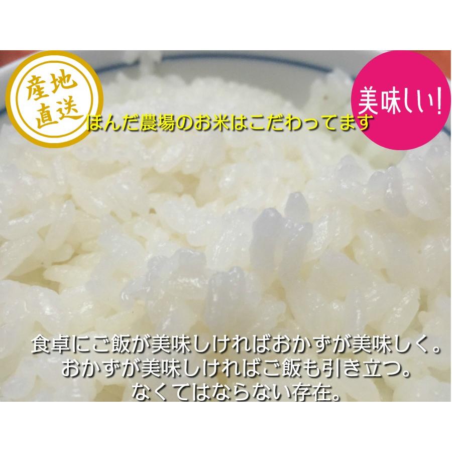 有機米 令和5年産 新米コシヒカリ 白米 2kg  水の精 JAS認定 無農薬 自然農法