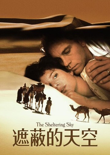 【停看聽音響唱片】【DVD】遮蔽的天空