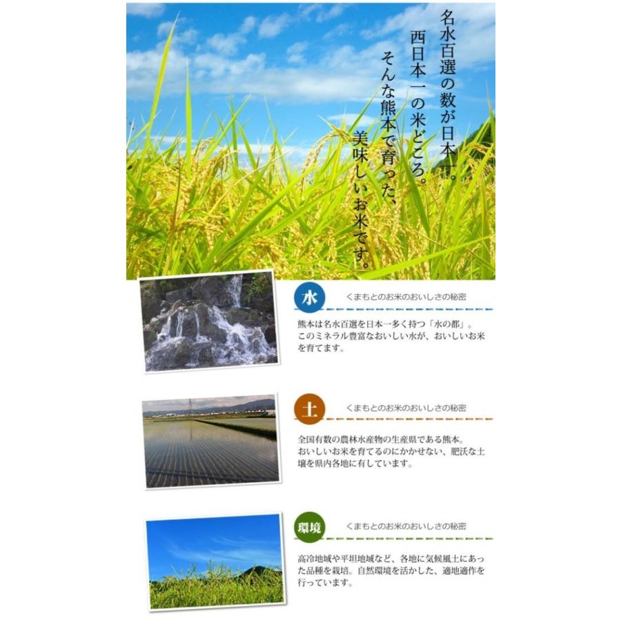 ひのひかり 米 送料無料 5kg 令和5年産 新米 熊本県産 お米 白米 玄米 コシヒカリ 森のくまさん