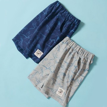 【Hi!Kids】男童短褲夏季兒童裝寶寶五分褲子中大童薄款運動恐龍中褲外穿潮