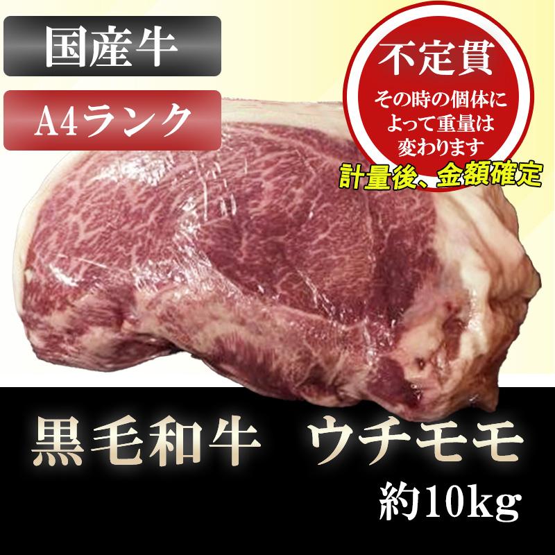 ウチモモ 約10kg 和牛 A4ランク 4等級  国産牛 牛モモ肉 牛もも肉 ブロック 業務用 贈答品 ギフト ブランド牛