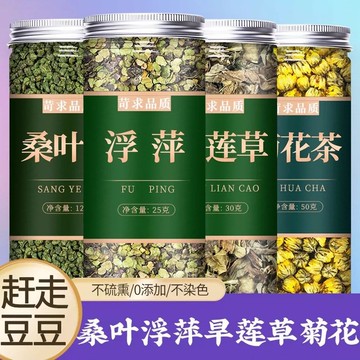 冲泡药材 桑葉浮萍旱蓮草菊花茶中藥材正品干各15克野生墨旱蓮粉泡水的功效
