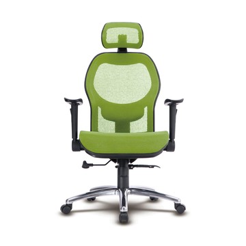 邏爵 特級雙網超NICE工學頭枕全網椅/辦公椅/電腦椅T85CS綠