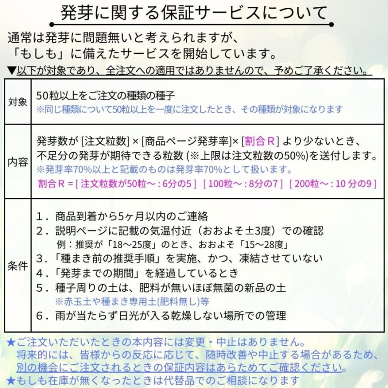 クリスマス・キャンドルスティック 種子 | ライオンズイヤー - 熱帯の花 - 種子 | LINEブランドカタログ