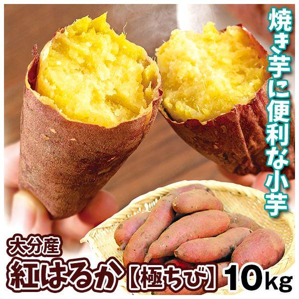 さつまいも 10kg 大分産 紅はるか ご家庭用 送料無料 食品