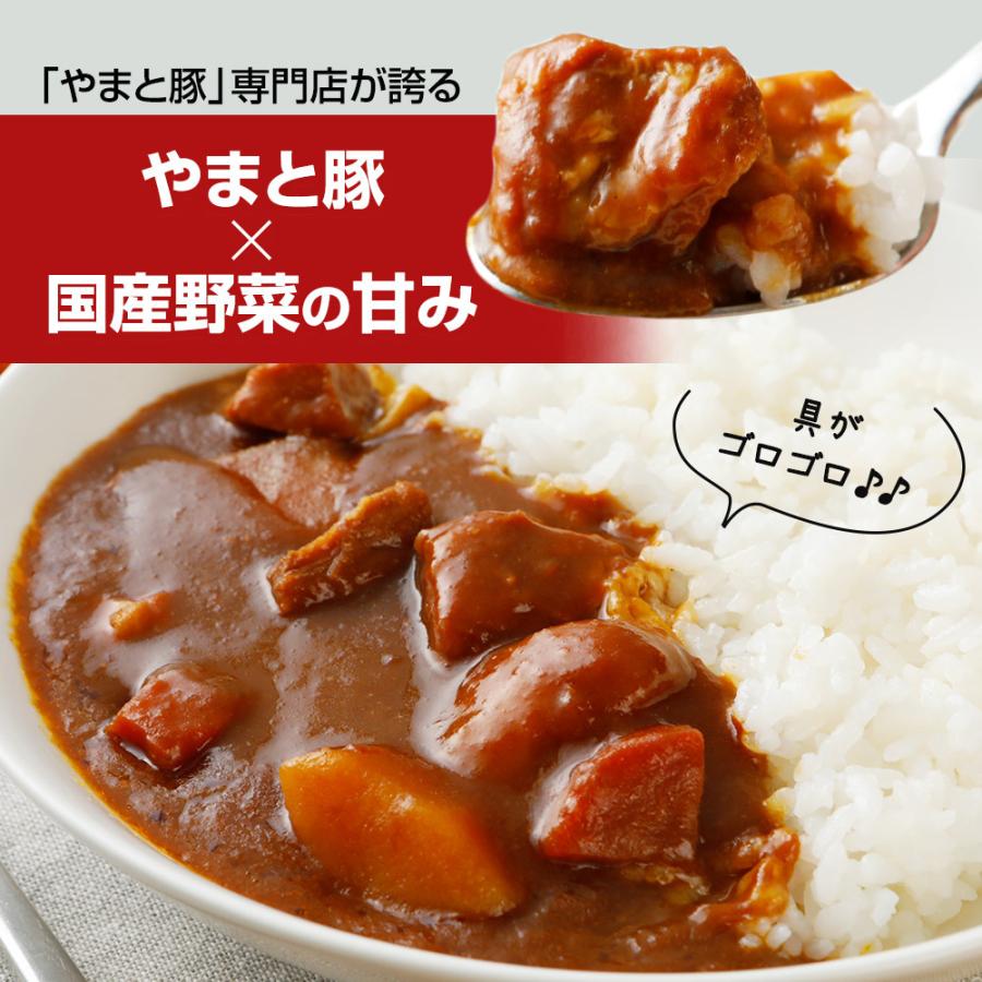 水谷隼 レトルトカレー 3種 NS-BE [常温] レトルト レトルト食品 カレー ハヤシライス セット 食品 常温保存 常温保存できる ご飯のお供 お取り寄せ