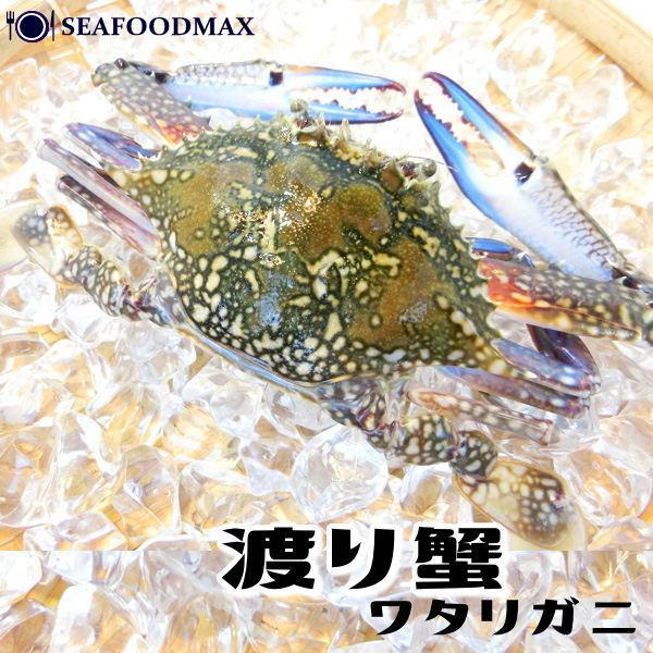 渡り蟹 ラウンド 約100g ワタリガニ姿　・渡り蟹姿・