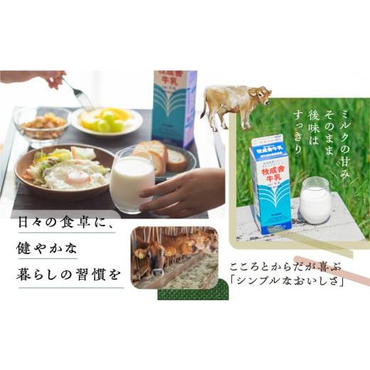 ふるさと納税 岐阜県 飛騨市 ＜牧成舎＞牛乳 ヨーグルト チーズ よりどりミニセット 4種 飛騨産生乳で作ったこだわりの乳製品セット 単身用 一人暮らし 2人暮…