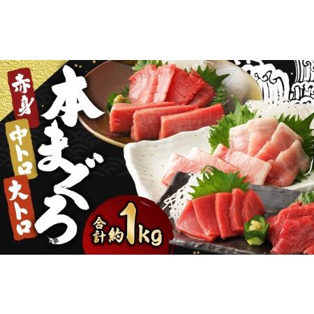 ふるさと納税 長崎県産 本マグロ3種盛り「大トロ・中トロ・赤身」約1kg 長崎県時津町