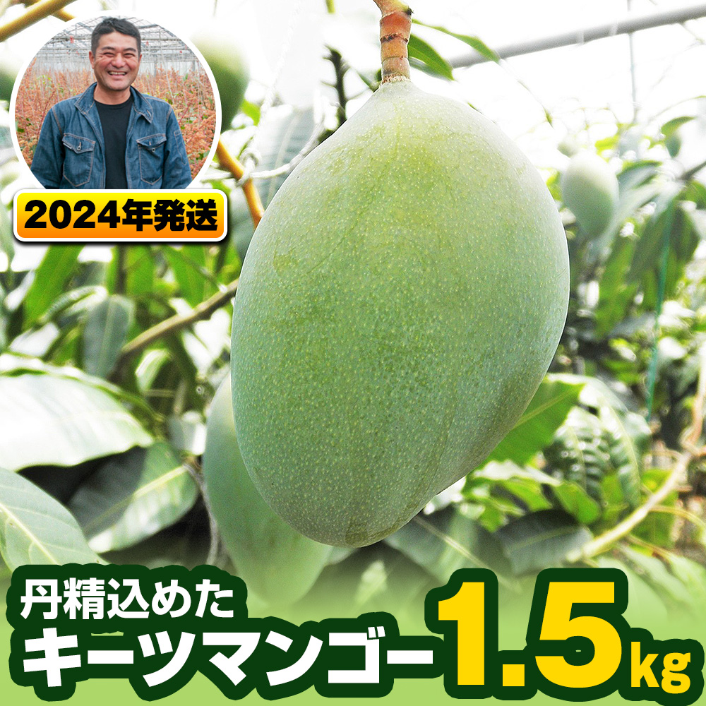 南風原農園　丹精込めた「キーツマンゴー」1.5kg