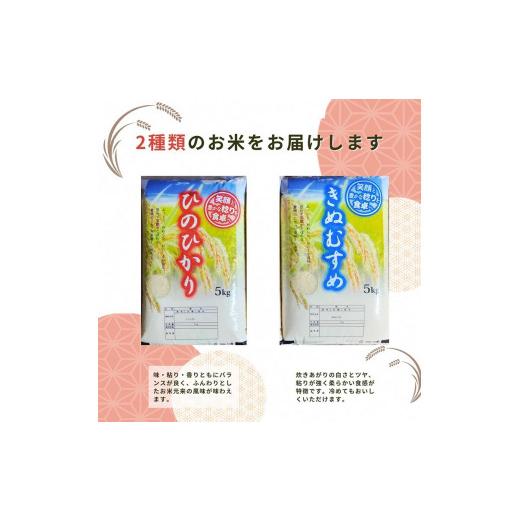 ふるさと納税 京都府 亀岡市 米 2品種 ヒノヒカリ・きぬむすめ 食べ比べ 5kg × 2袋 10kg 施肥技術指導員監修《新米 令和5年産》SDGs未来都市亀岡※着日指定不…