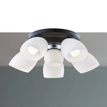 E27 玻璃吸頂五燈 B250-53-12-2901