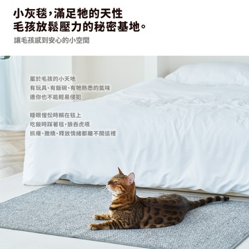 【正負零】PMZ ZDB-KP40GR 貓抓毯-灰