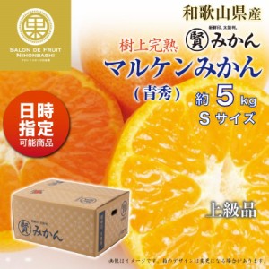 [予約 12月1日-12月20日の納品] マル賢みかん 青秀 約 5kg Sサイズ 樹上完熟 マルケン 和歌山県産 冬ギフト お歳暮 御歳暮