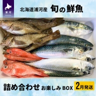 漁協厳選！鮮魚お楽しみBOX※不在日・日付指定対応不可※[02-830]