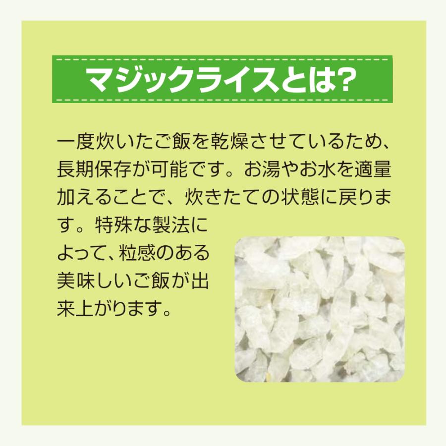 サタケ マジックライス ドライカレー 4食 防災食 長期5年保存