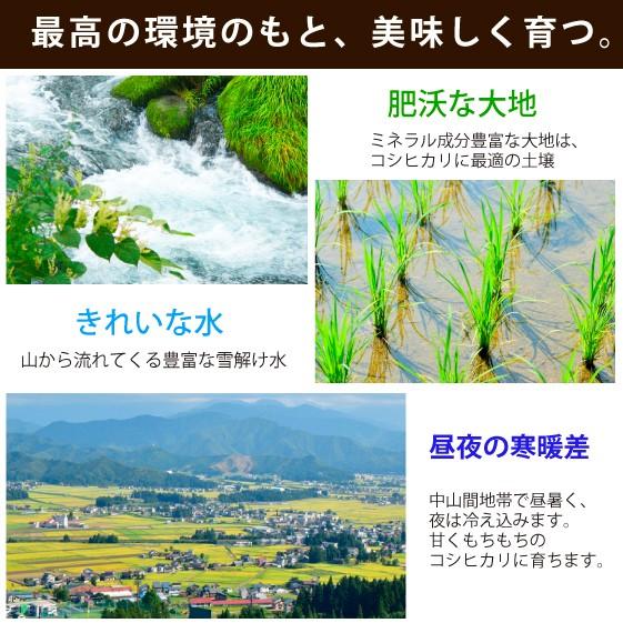 新米 魚沼市ブランド推奨認定米 魚沼産コシヒカリ 無洗米 5kg 令和5年産 安心安全 農家直送 信頼と品質のお米  送料無料