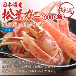 ズワイガニ焼きガニ用加工済（昆布付き）