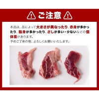 馬ひも焼肉用300g（50g×6袋） 《90日以内に順次出荷(土日祝除く)》 肉 馬ひも 馬肉 熊本県長洲町