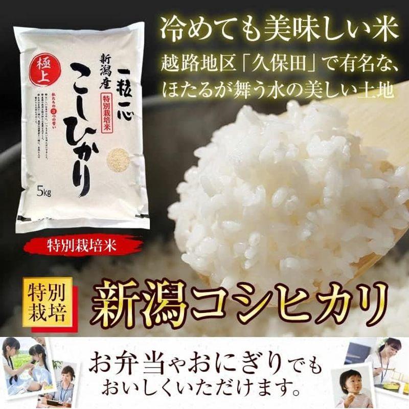 特別栽培米新潟産 こしひかり 白米 10kg（5kg×2袋）生産農家直送 厳しい基準をクリアした特別栽培米 新潟コシヒカリ お米 10kg