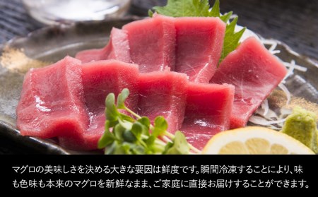 本マグロ まぐろお刺身用 赤身5人前(800g) 鮪 海鮮丼 刺し身 刺身 盛り合わせ 冷凍 魚の刺身 大分県産 九州産 津久見市 国産