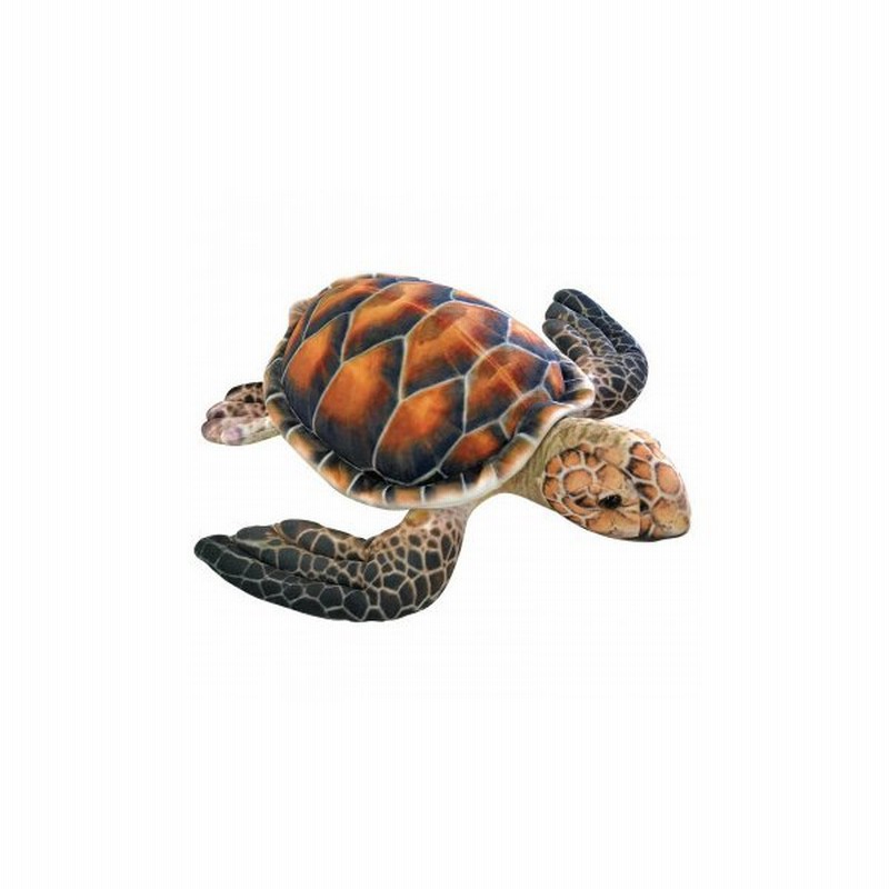 ワイルドグラフィ ぬいぐるみ ウミガメ Sa035 おしゃれ 長持ち 可愛い 便利 使いやすい かわいい 子ども 子供 通販 Lineポイント最大0 5 Get Lineショッピング