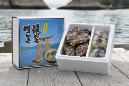 島田水産　Shimada　Oyster　生かき1ｋｇ（500ｇ×2） 殻付き10個（加熱用）