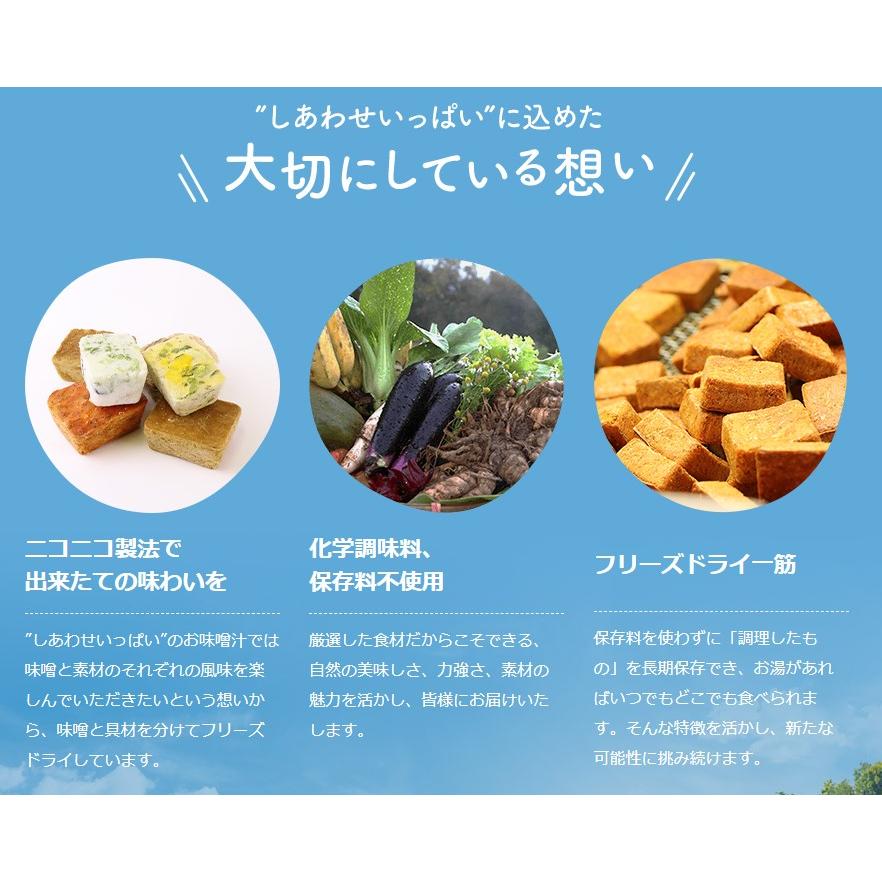 日本の採れたてきのこのおみそ汁 9.2g×10食 即席みそ汁 コスモス食品 フリーズドライ 味噌汁 国産 化学調味料無添加