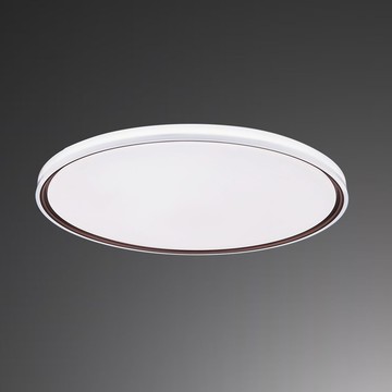 40W 三色變光吸頂燈 B209-050067