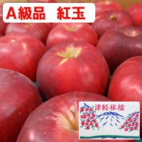 紅玉青森りんご（約9kg）