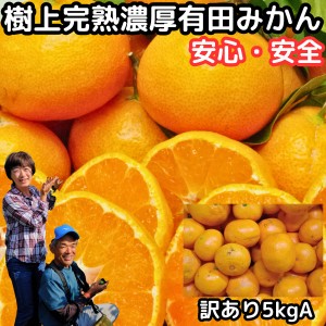 みかん 有田 訳あり 甘い 美味しい 糖度 送料無料 和歌山 有田柑橘さんさん 樹上完熟 わけあり A品 早生 温州 有田みかん 5kg 2l～ss 訳