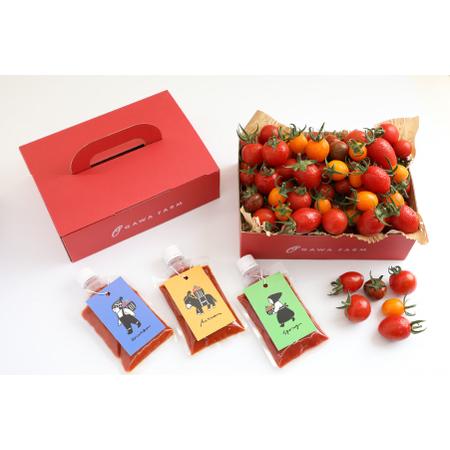 ふるさと納税 香TOMATOスペシャリテBOX（OGAWA　FARM）　 宮崎県小林市