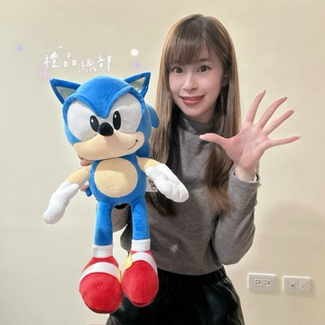 正版授權 音速小子 納克魯斯 10吋 索尼克 音速小子玩偶 音速小子絨毛玩偶 Sonic 生日禮物 畢業禮物