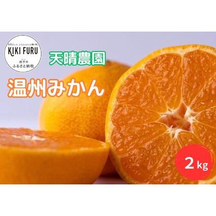 ふるさと納税 愛媛県明浜産　天晴みかん（温州みかん） ２kg 愛媛県西予市