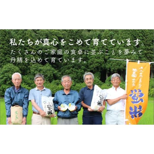 ふるさと納税 石川県 小松市 令和５年産 蛍米精米10kg（5kg×2袋）
