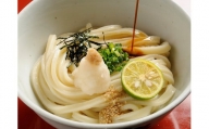 さぬき生うどん20食セット（２人前✕10袋）